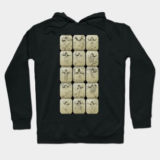 The Untamed - Tarot Card series Hoodie